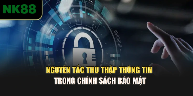 Nguyên tắc thu thập thông tin trong chính sách bảo mật
